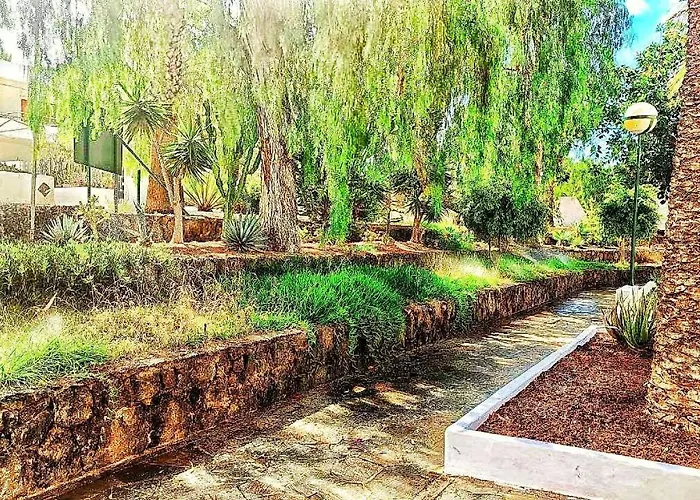 Hibisco En Eureka * 코스타델실렌시오