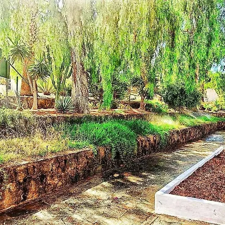 Hibisco En Eureka * طوستا ديل سيلونثيو